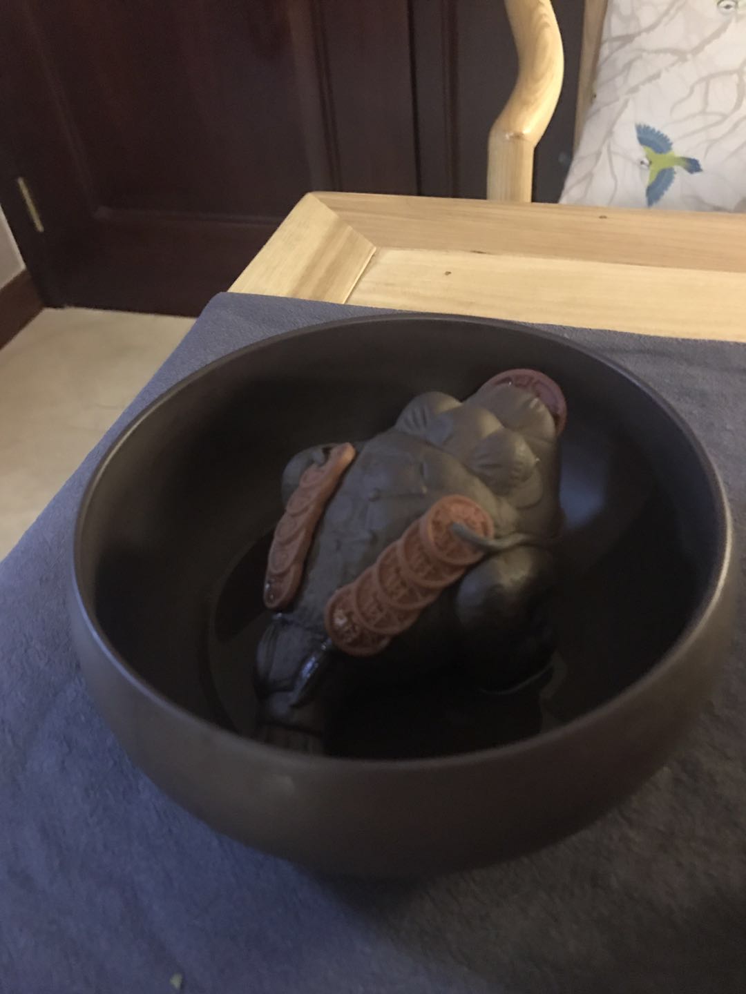 高档会所浦东有哪些店铺可以开的呢多少钱